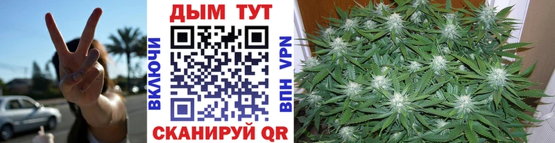 Бошки марихуана семена Купить где Горно-Алтайск